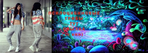 PSILOCYBIN Корсаков