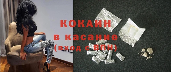 сатива Тавда