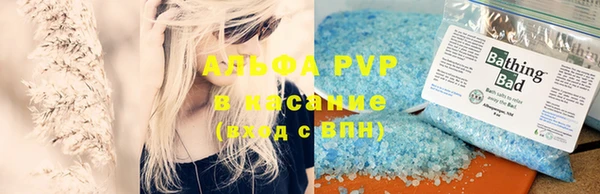 PSILOCYBIN Корсаков