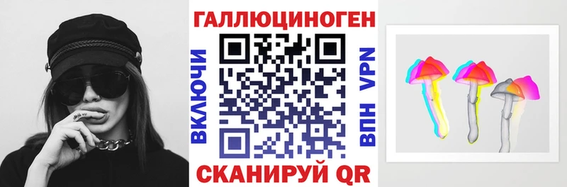 Купить где  Кола  Псилоцибиновые грибы Cubensis 